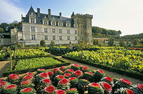 Château de Villandry © AF – Catherine Bibollet