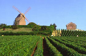 Mühle bei Épernay © Oxley (Atout france)