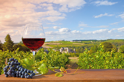 Rotwein und Weinanbau © Labellepatine (Shutterstock.com)